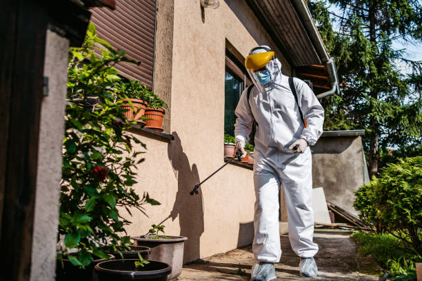 Best Pest Prevention Services  in Kingston, PA